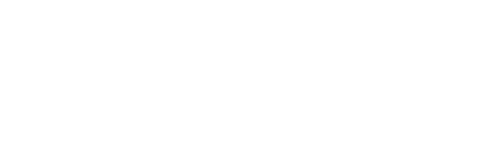 Wagemans 